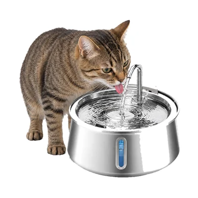 Cat drinking from the FounTail stainless steel pet water fountain